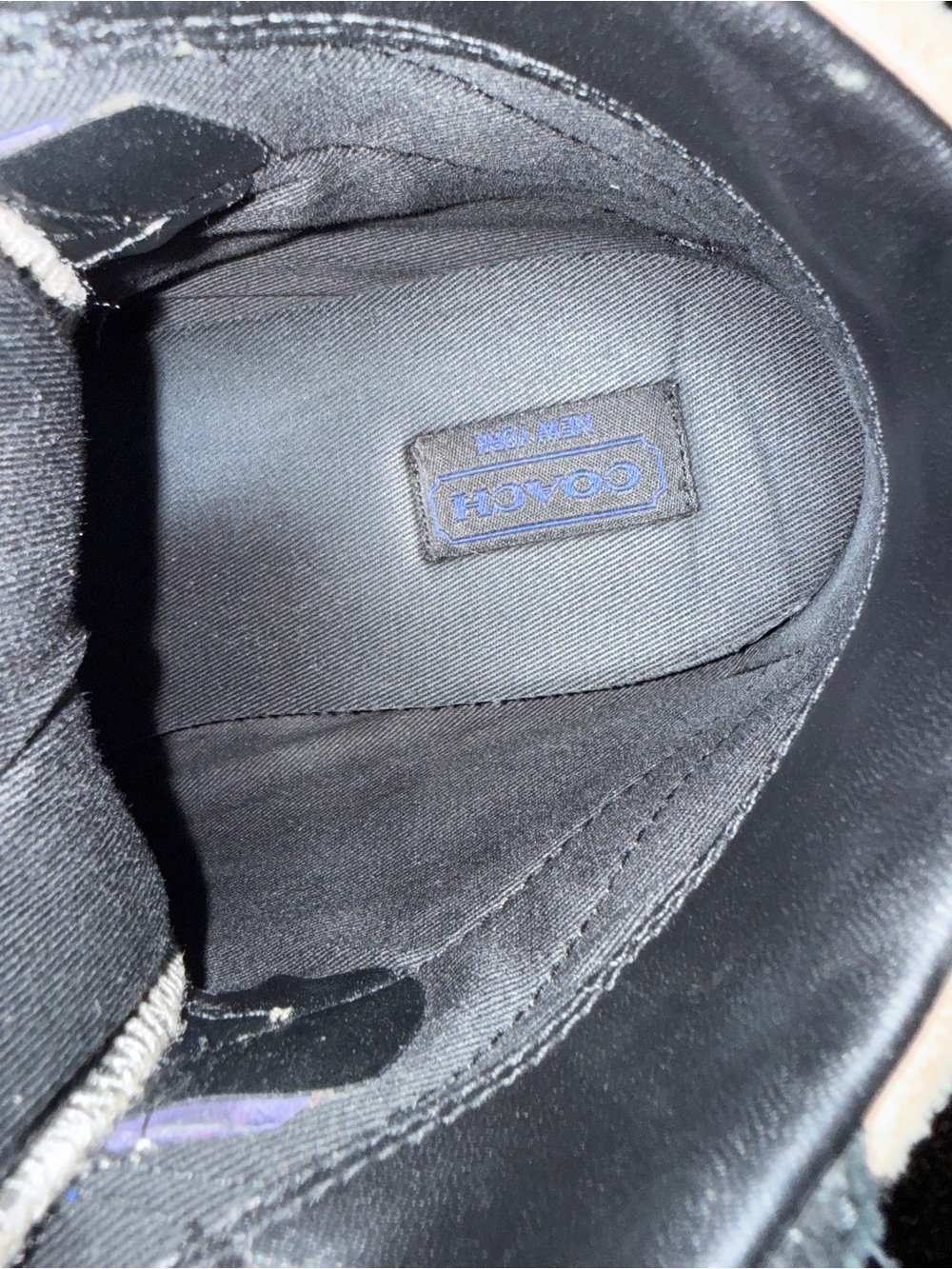 Coach Dreama Wedge Suede Sneaker Sneakers in Black and Blue - Picture 6 of 8